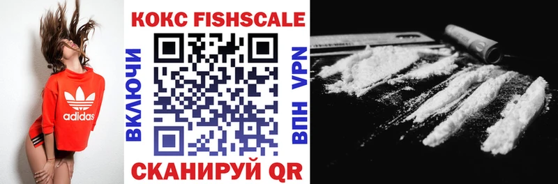 Купить закладки  Междуреченск  Кокаин Fish Scale 