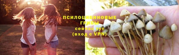 метадон Дмитровск