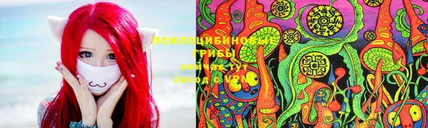 крисы Дмитров