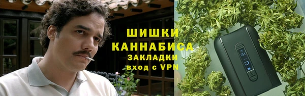 крисы Дмитров